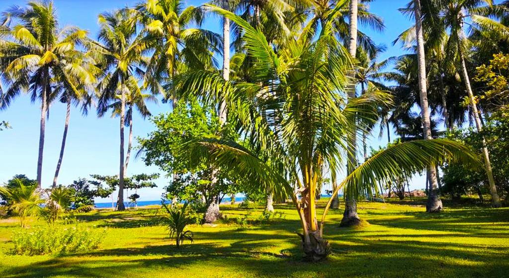 Somewhere Else Boutique Resort Mambajao Esterno foto